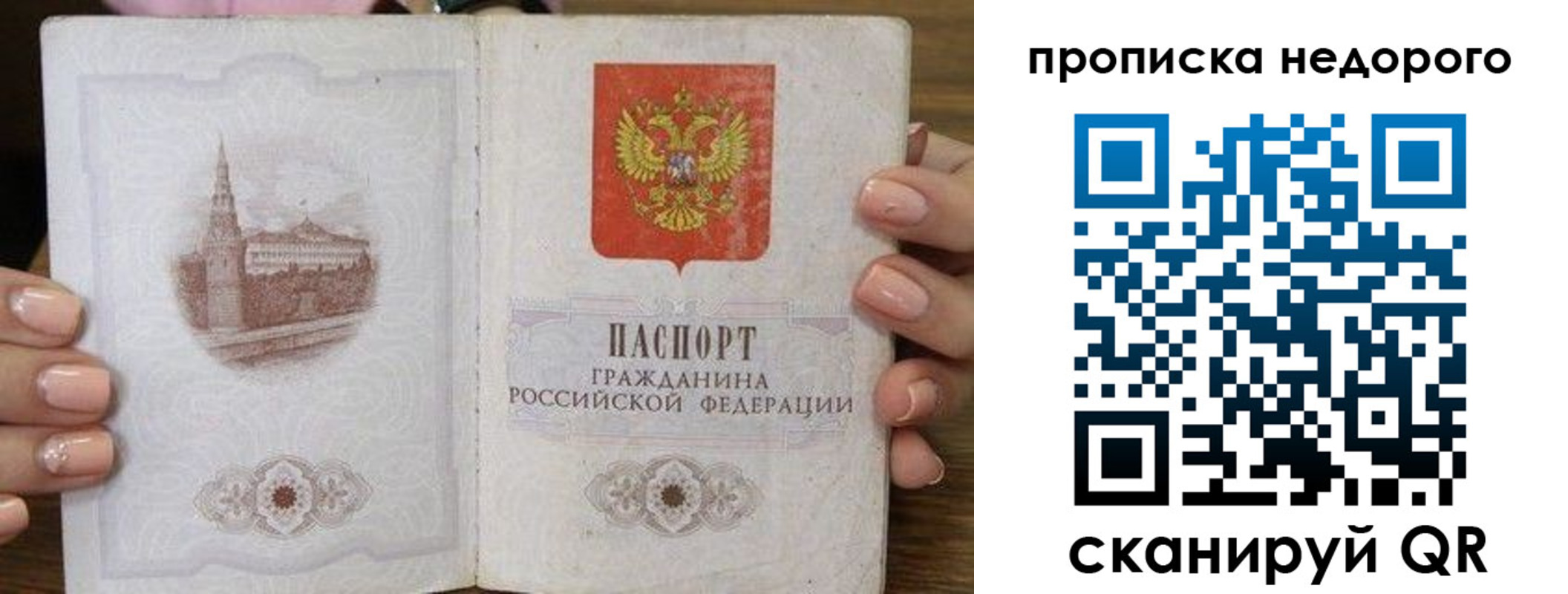 пропишу в квартире в Светлом